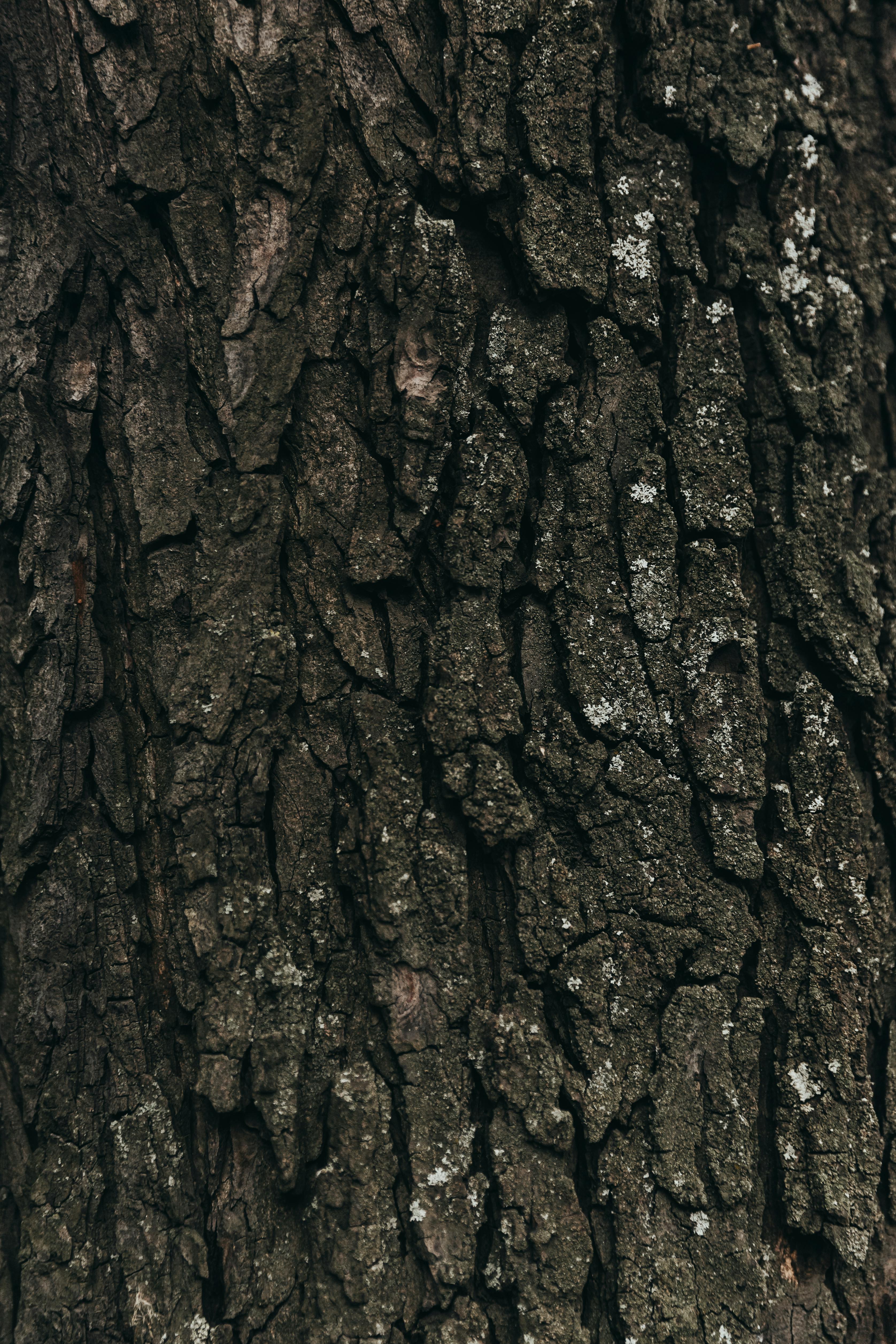 Community support and donation